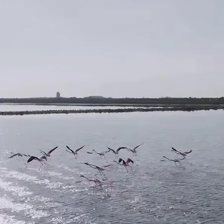 ゲストハウス Mi Cortijo De Playa ロケタス・デ・マル