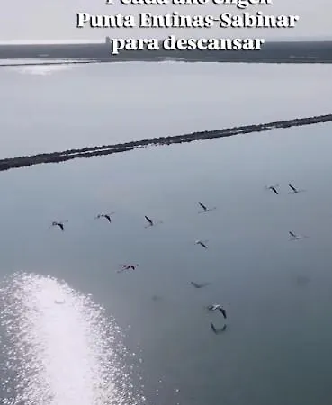 ゲストハウス Mi Cortijo De Playa