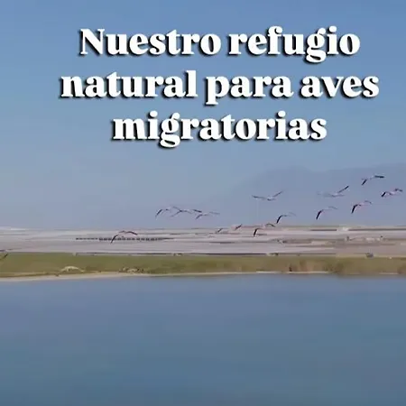 Mi Cortijo De Playa *